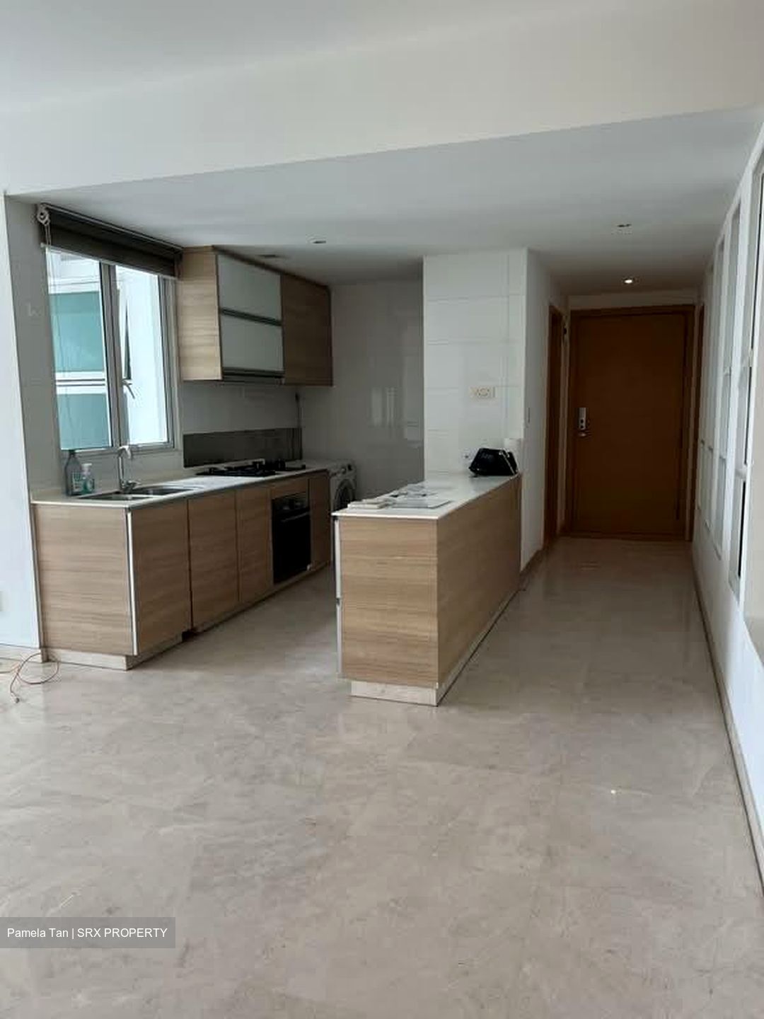 Parc Emily (D9), Condominium #559387991